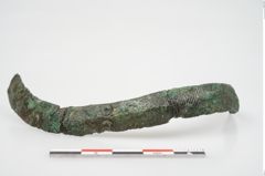 Foto von Bronzeschaukelfußreif (NHMW-PRAE-026631)